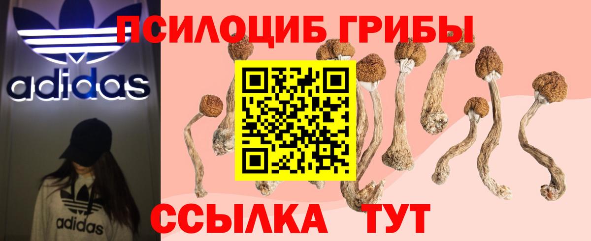 наркота  Галлюциногенные грибы ЛСД  Вход с VPN  Ейск 